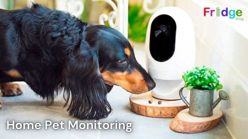 Pet Monitoring