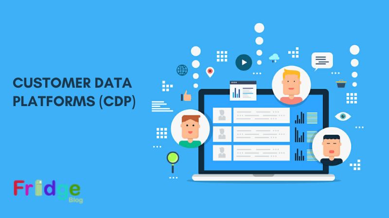 Customer Data Platforms (CDP)