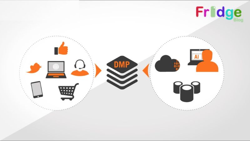 Data Management Platforms (DMPs)