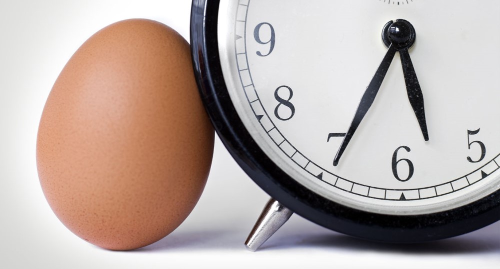 Know the basics of egg preservation
