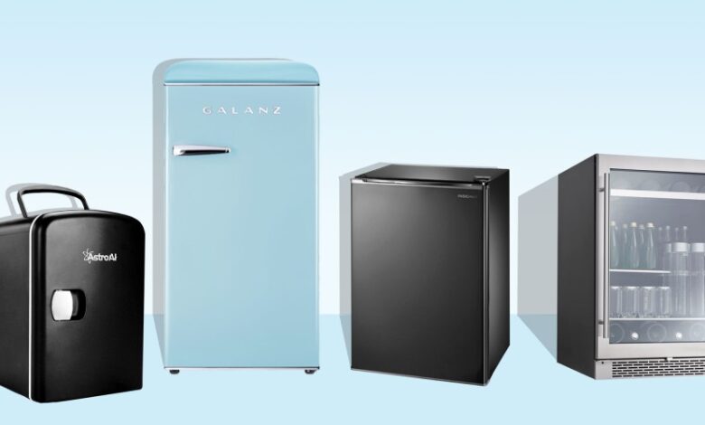 Different Types of Mini Fridges by Size and Installation Type