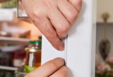 Tips for Cleaning Refrigerator Door Seals with Bleach and Warm Water