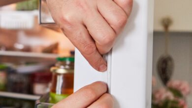 Tips for Cleaning Refrigerator Door Seals with Bleach and Warm Water