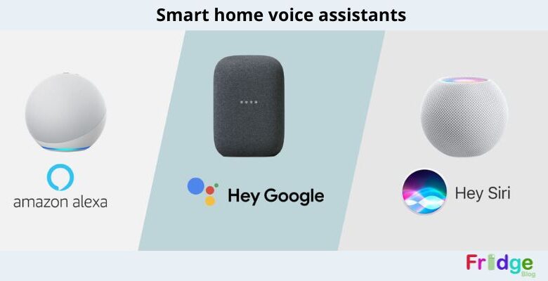 Smart home voice assistants