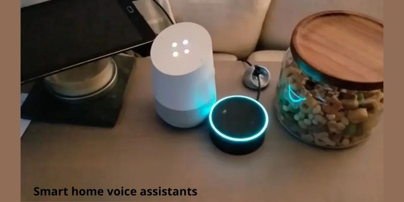 Smart home voice assistants